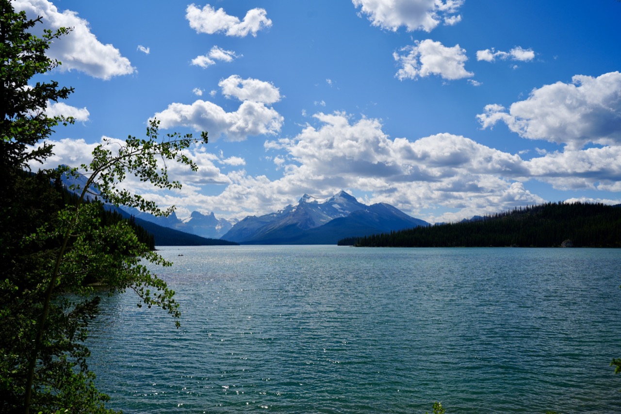 Maligne Lake und Canyon