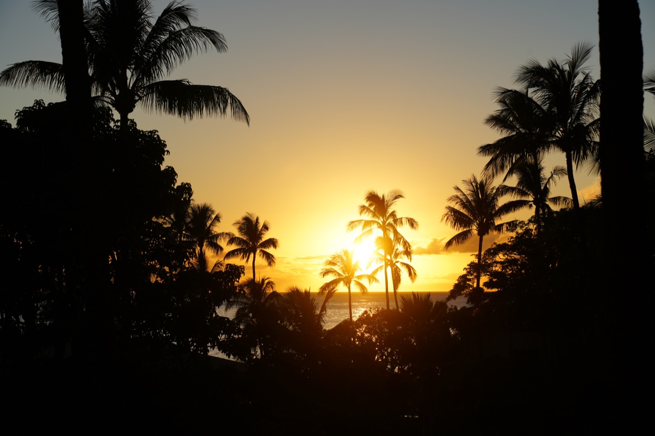 Aloha